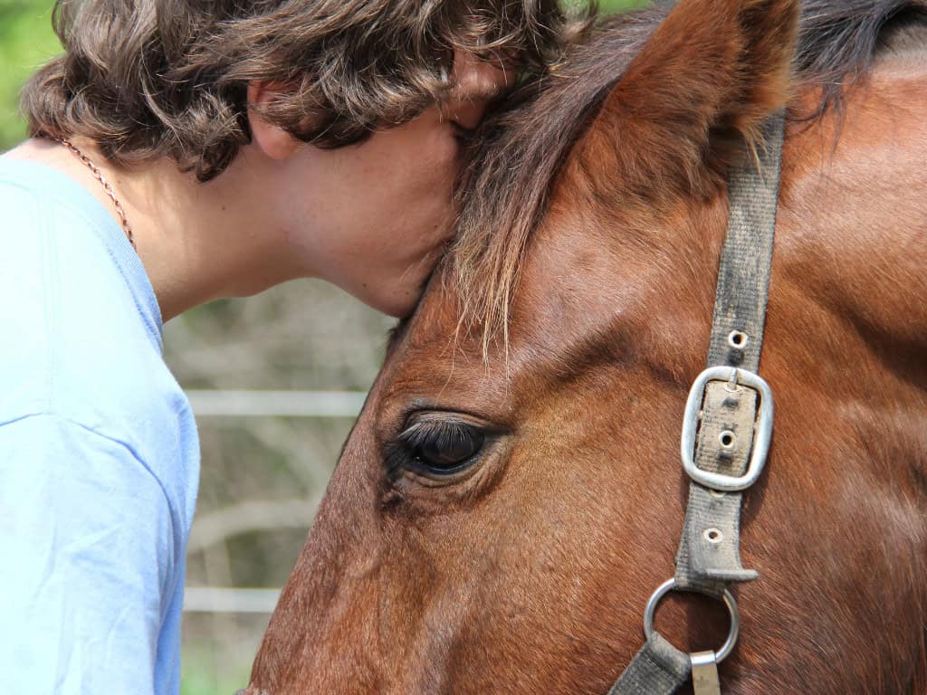 a young man kissing a horse