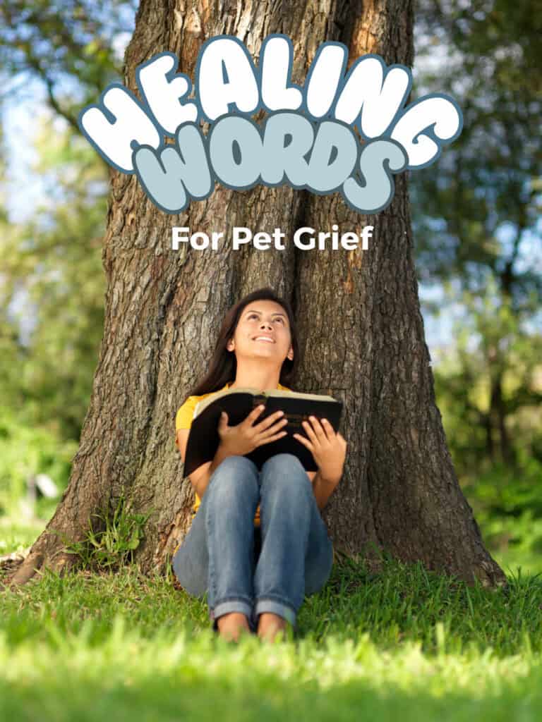 a woman sitting under a tree saying a prayer for pet loss