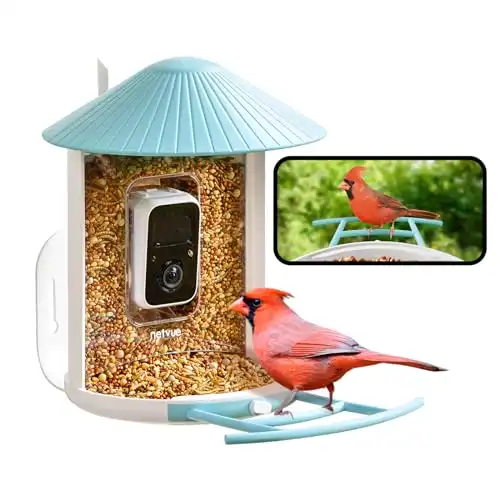 NETVUE Birdfy® Smart Bird Feeder with Camera, Ideal Gift for Bird Lover